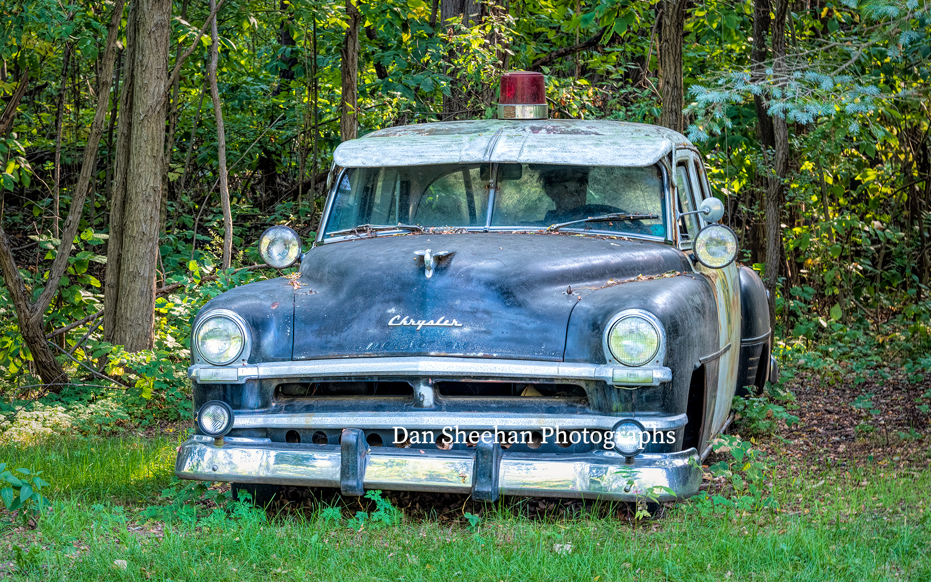 License And Registration : Cars : Dan Sheehan Photographs - Fine Art Stock Photography