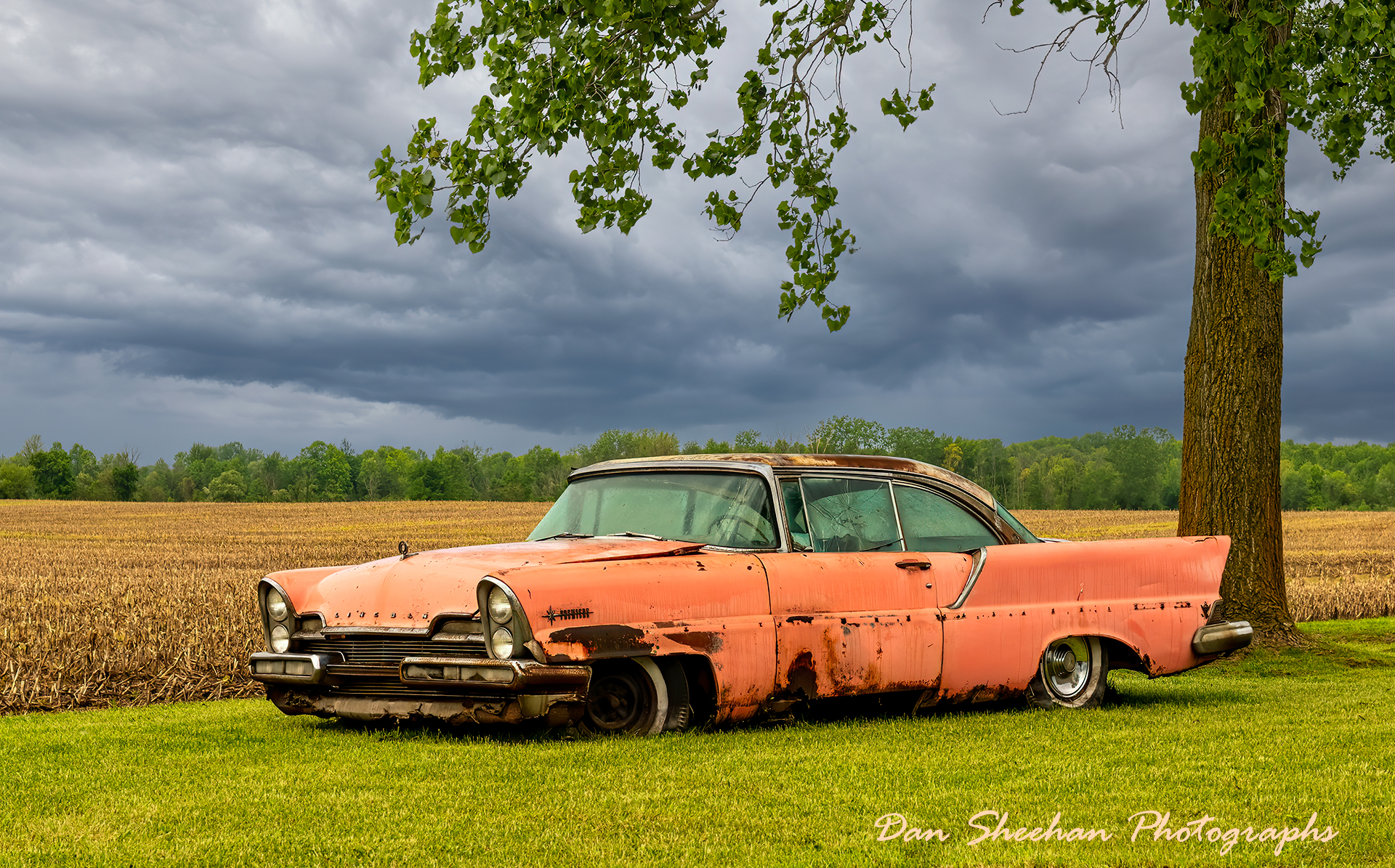 Bermuda Coral : Cars : Dan Sheehan Photographs - Fine Art Stock Photography