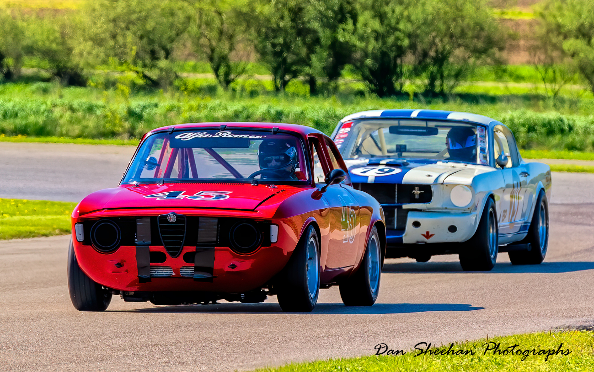Alfa Romeo vs. Ford Mustang at Gingerman Raceway  : Cars : Dan Sheehan Photographs - Fine Art Stock Photography